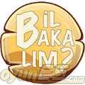 Bil bakalm