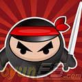 Ninja ahlak Online
