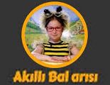 Akll Bal Arsna Sor