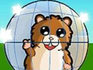 Hamsterball