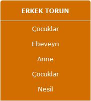 tabu4